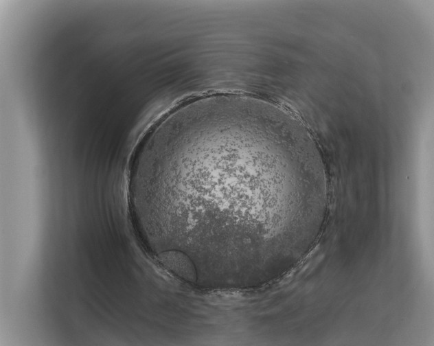 X0000113020194200909031238