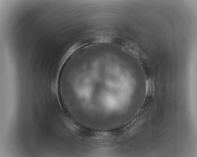 X0000113020195200909031238