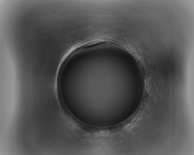 X0000113020196200909031238