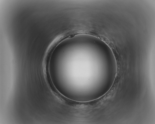 X0000113020197200909031238