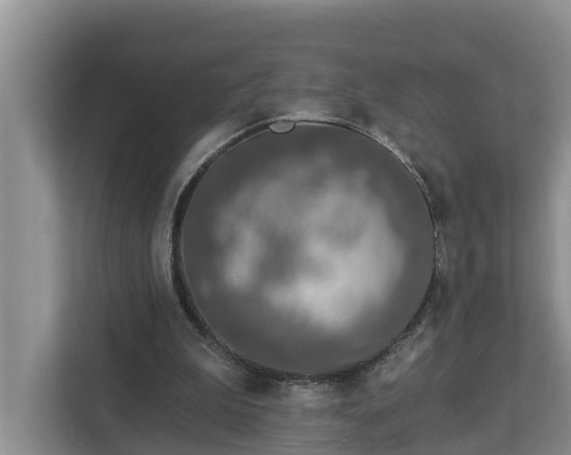 X0000113020199200909031238