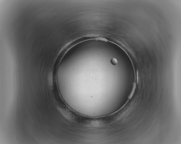 X0000113020204200909031238