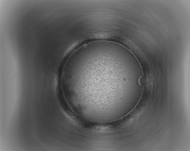 X0000113020208200909031238