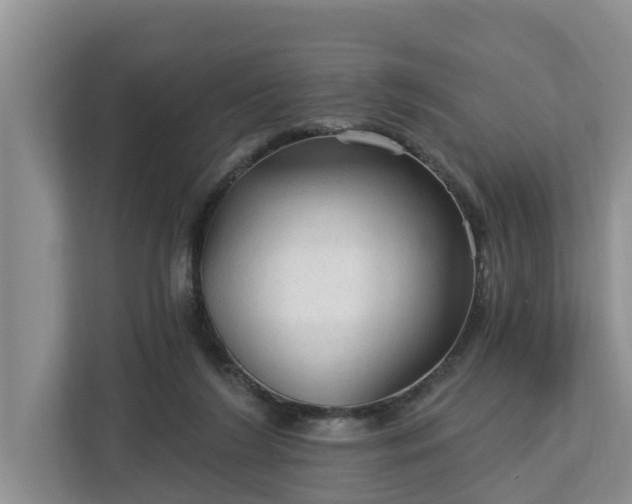 X0000113020212200909031238