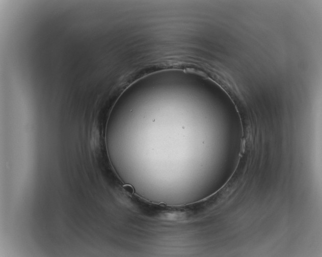 X0000113020220200909031238