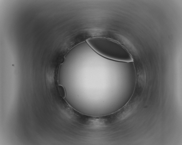 X0000113020221200909031238