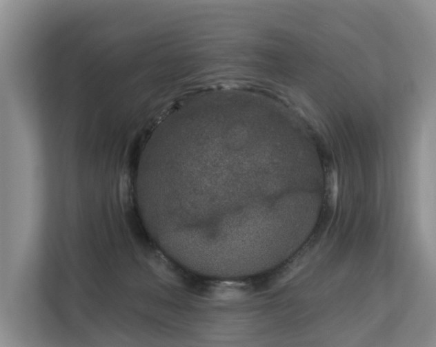 X0000113020222200909031238