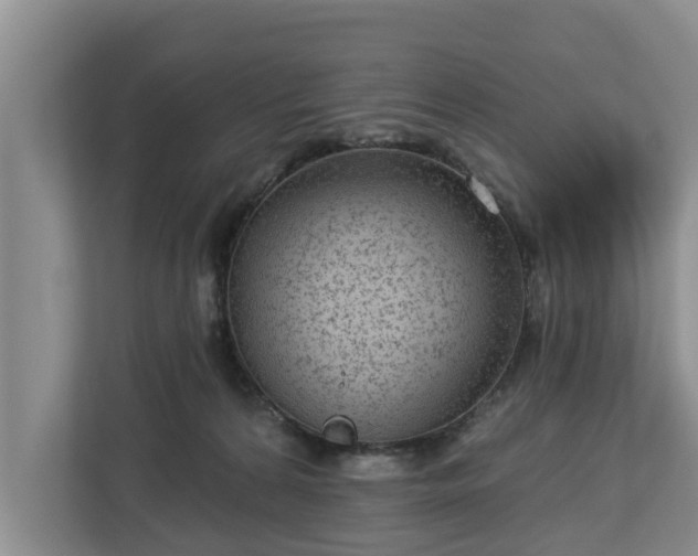 X0000113020224200909031238