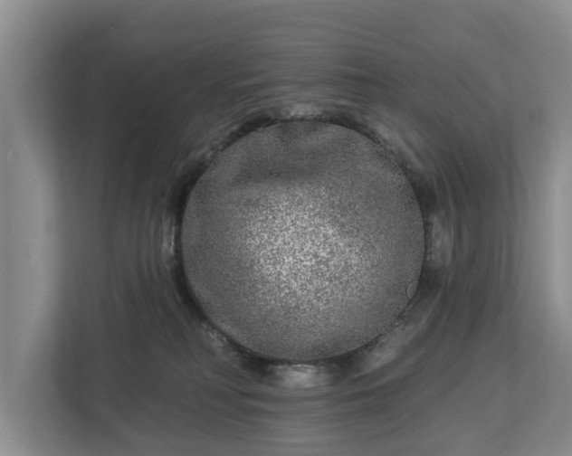 X0000113020230200909031238