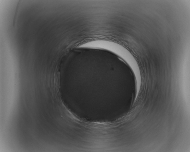 X0000113020231200909031238