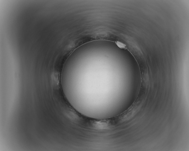 X0000113020232200909031238