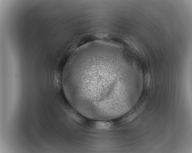 X0000113020234200909031238