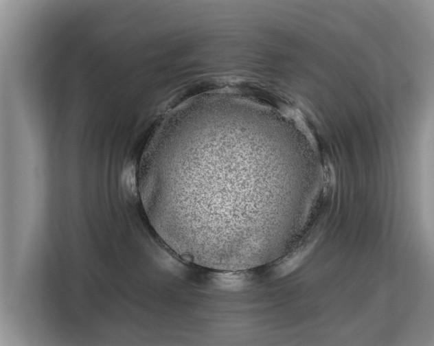 X0000113020238200909031238