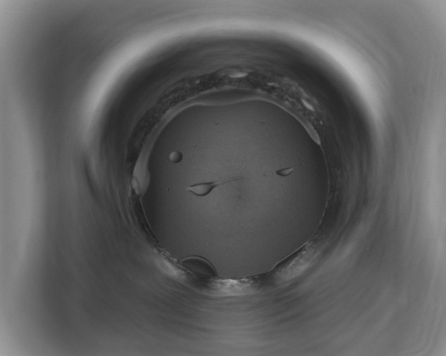 X0000113020239200909031238