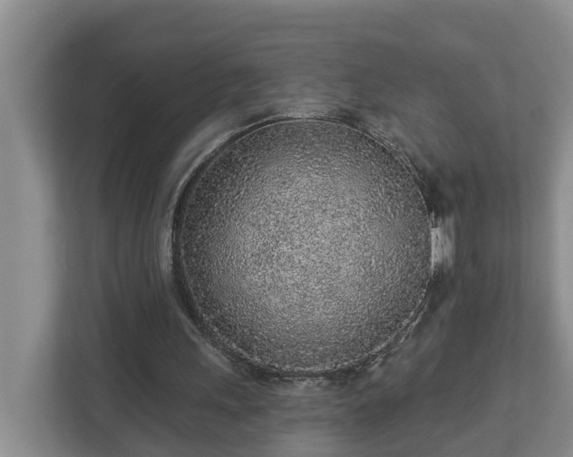 X0000113020243200909031237