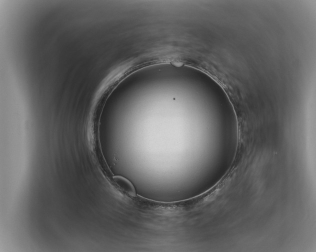 X0000113020245200909031237