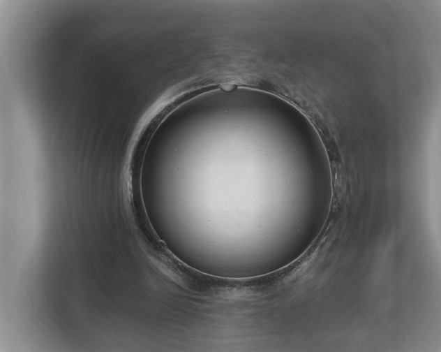 X0000113020246200909031237