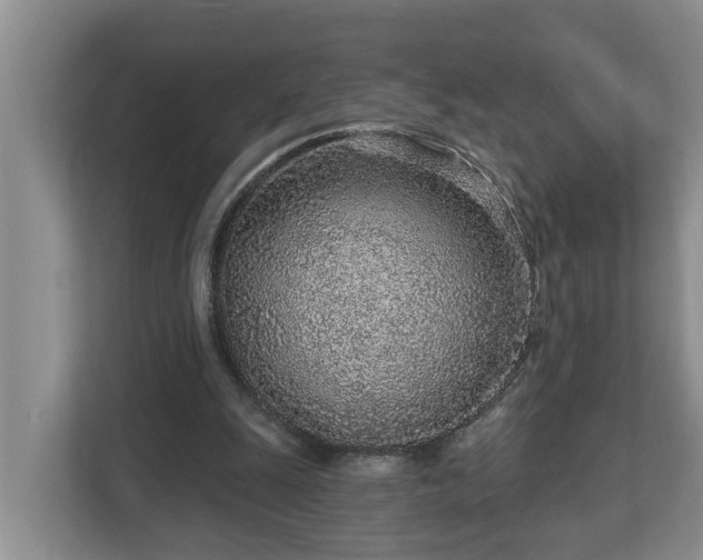 X0000113020247200909031237