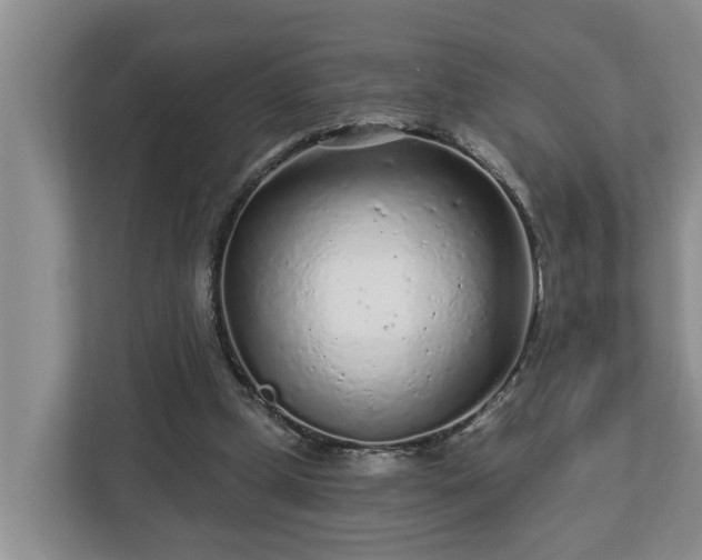 X0000113020249200909031237