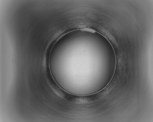 X0000113020250200909031237
