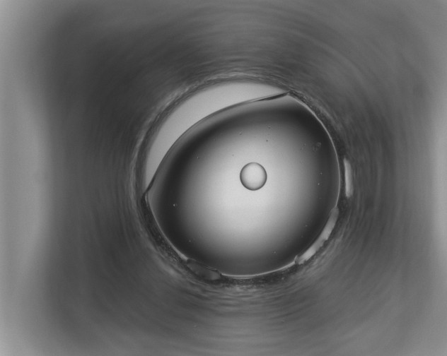 X0000113020252200909031237