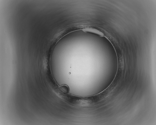 X0000113020255200909031237