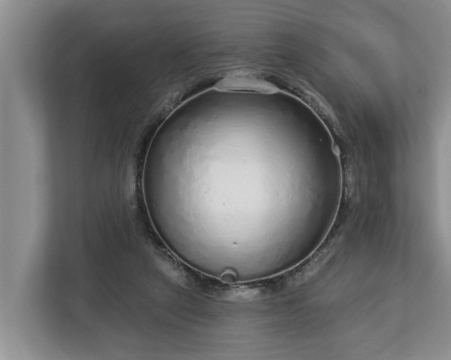 X0000113020257200909031237