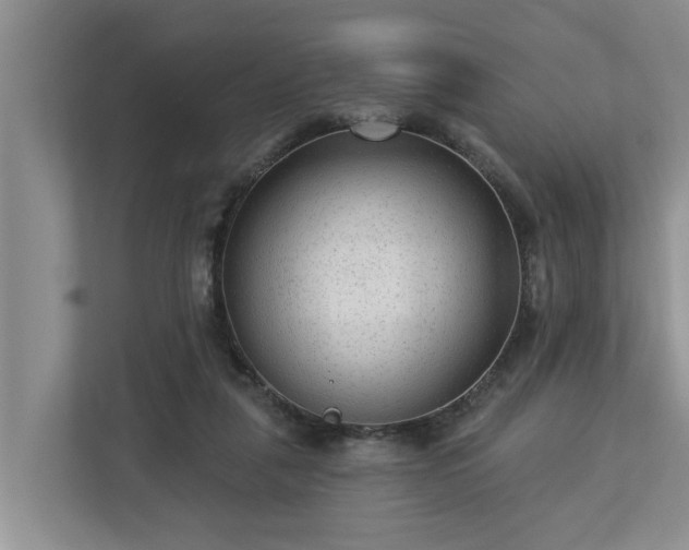 X0000113020259200909031237