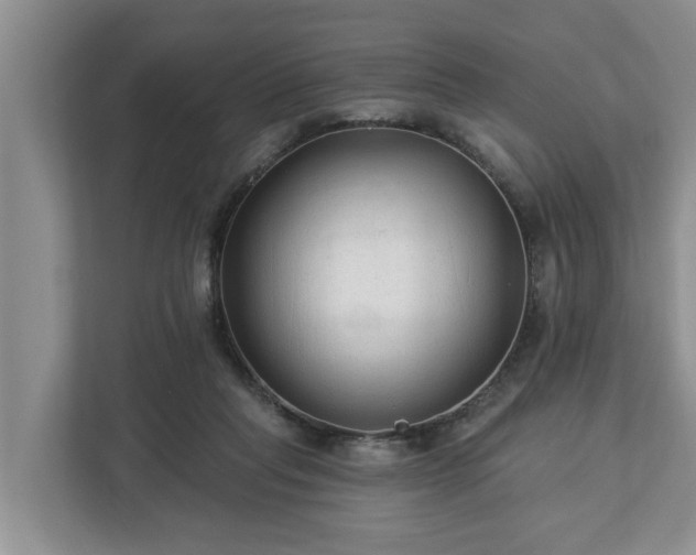 X0000113020261200909031237