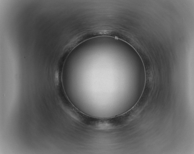 X0000113020262200909031237