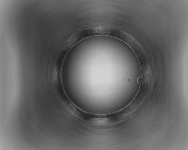 X0000113020266200909031237