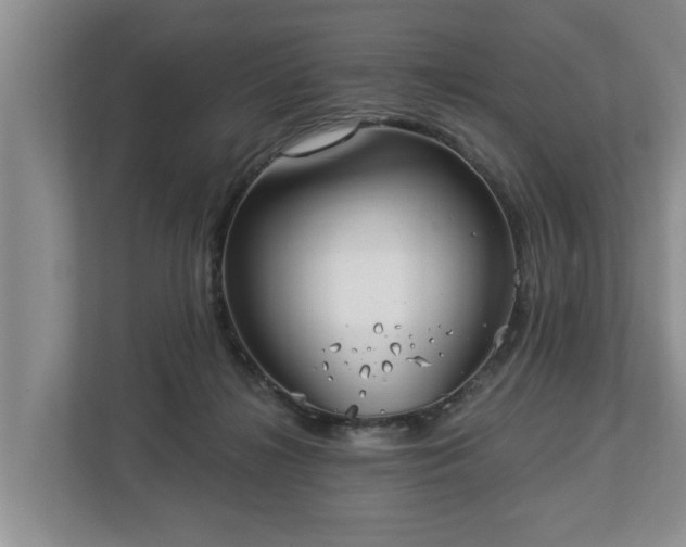 X0000113020268200909031237