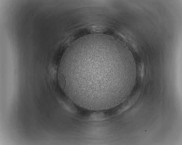 X0000113020271200909031237