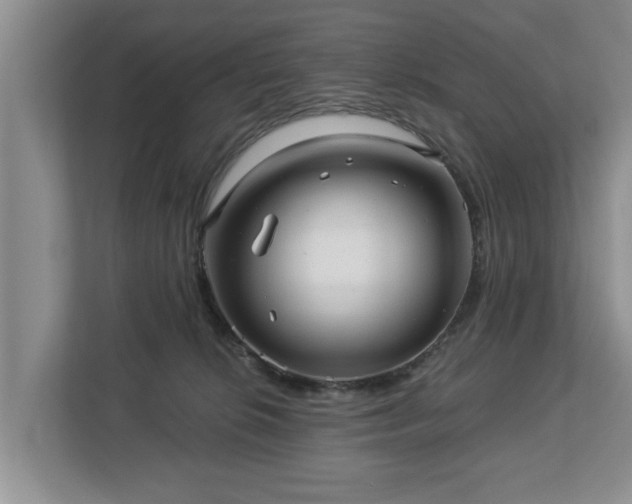 X0000113020276200909031237