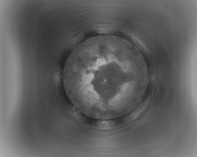 X0000113020277200909031237