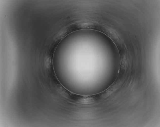 X0000113020278200909031237