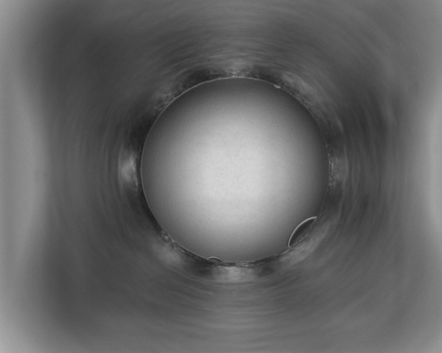 X0000113020286200909031238