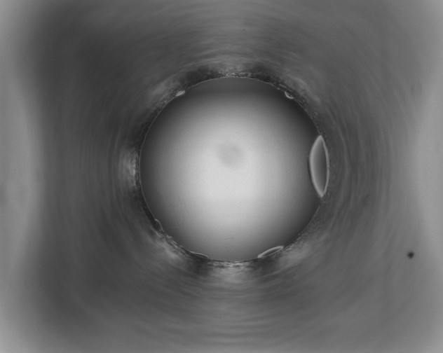 X0000113020288200909031238