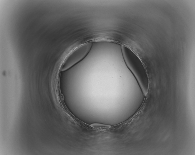 X0000113020289200909031237