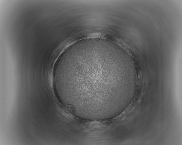 X0000113020290200909031237