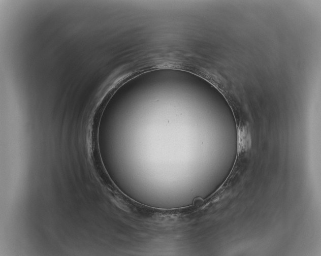 X0000113020291200909031237