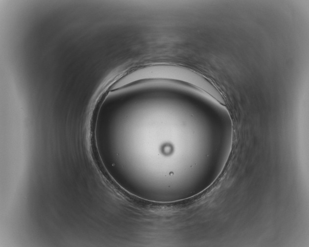 X0000113020293200909031237