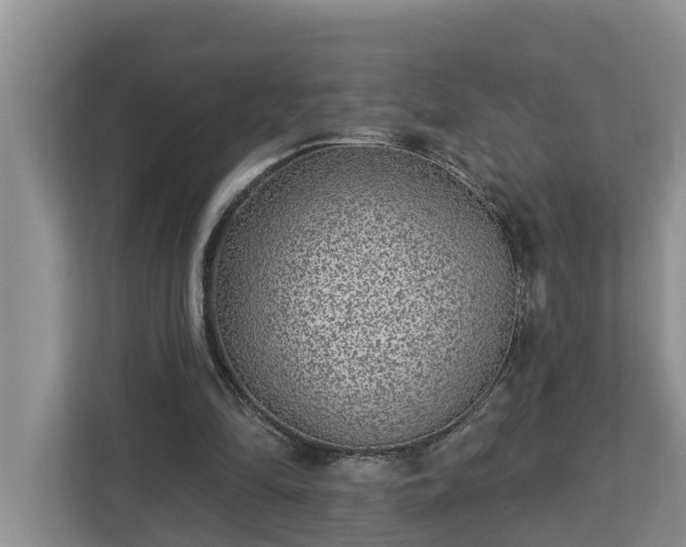X0000113020294200909031237