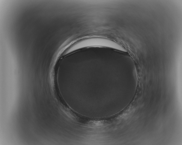 X0000113020295200909031237