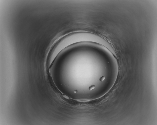 X0000113020296200909031237