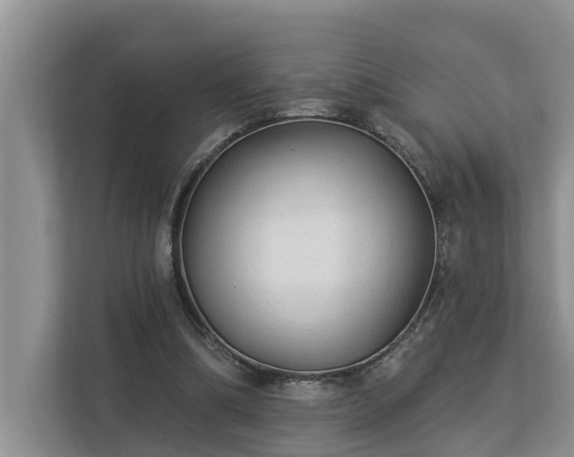 X0000113020298200909031237