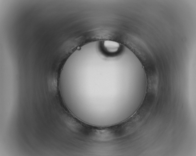 X0000113020309200909031237