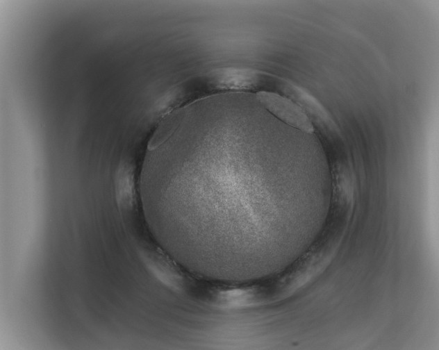 X0000113020312200909031237