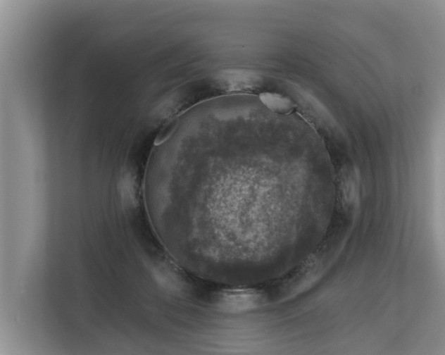 X0000113020316200909031237