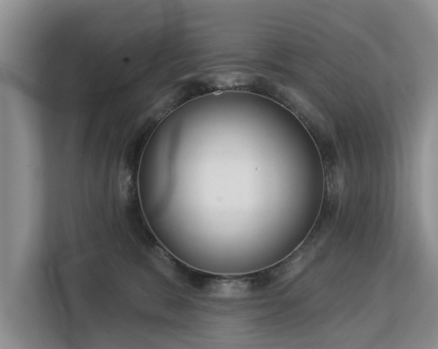 X0000113020327200909031236